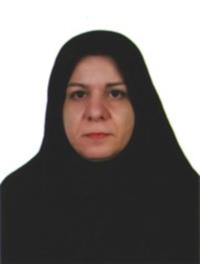 بلقیس مصطفوی خوزانی