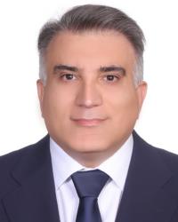 رامین رجبی