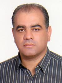 رامین محب دزفولی