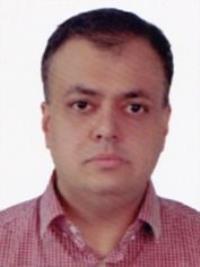 رضا زینعلی
