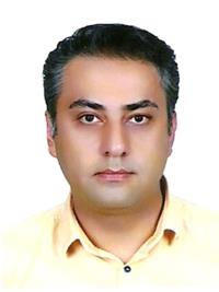 رضا صادقی