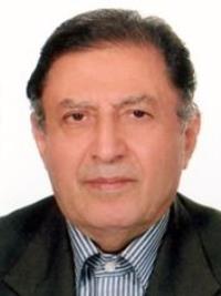 سیدحسین سالک فرد