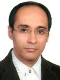 مجتبی امامی فرد