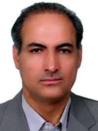 مجتبی امیری