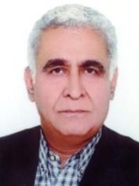 محمدتقی معینی پور