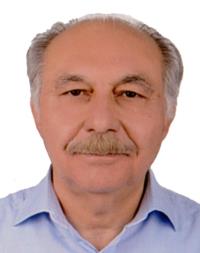 محمدرضا صادقیان