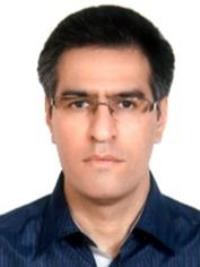 هادی حسین زاده